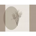 RIMURA / Main Collection