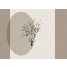 RIMURA / Main Collection