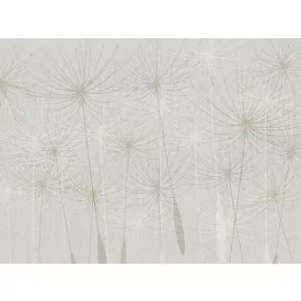 RIMURA / Main Collection