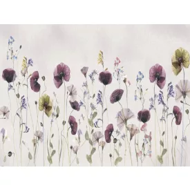 RIMURA / Main Collection