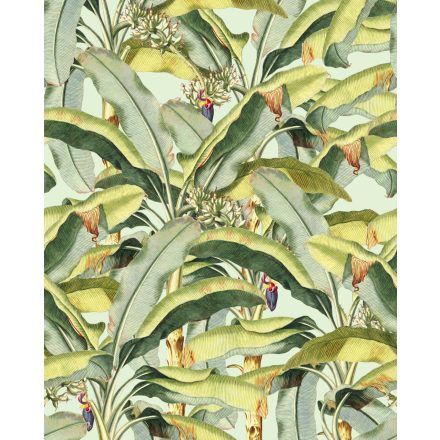 Komar / Seasons poszter