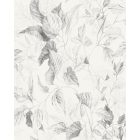 Komar / Seasons poszter