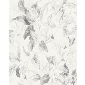 Komar / Seasons poszter