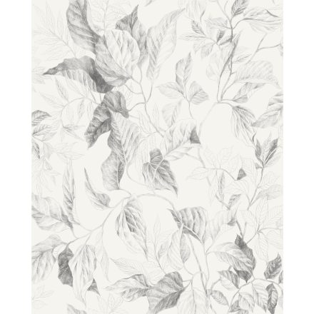 Komar / Seasons poszter