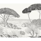 Komar / Seasons poszter