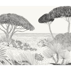 Komar / Seasons poszter