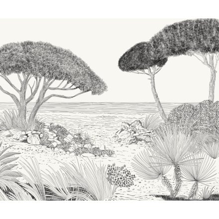 Komar / Seasons poszter