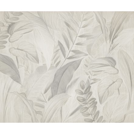 Komar / Seasons poszter