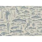 Komar / Seasons poszter