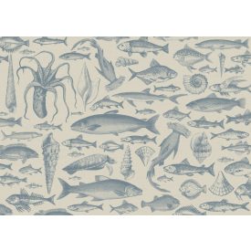 Komar / Seasons poszter