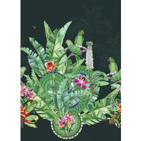 Behang / Checking out Nature tapéta