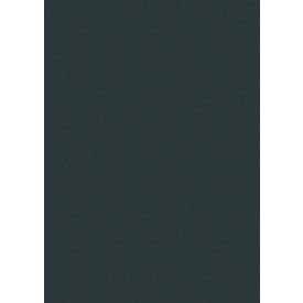 Behang / Checking out Nature tapéta