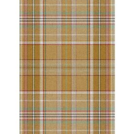 Behang / Checking out Nature tapéta