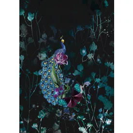 Behang / Checking out Nature tapéta