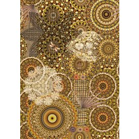 Behang / Circle of life tapéta