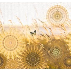 Behang / Circle of life tapéta