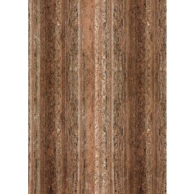 Behang / Circle of life tapéta