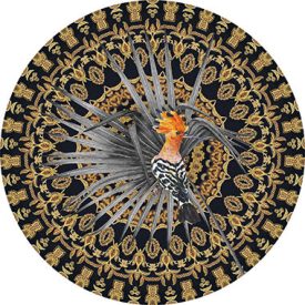 Behang / Circle of life tapéta kör