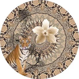 Behang / Circle of life tapéta kör