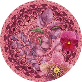 Behang / Circle of life tapéta kör