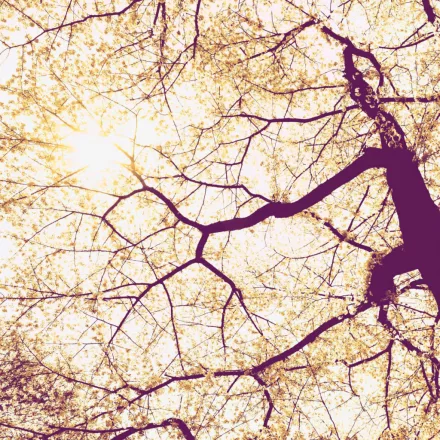 Komar / Munich Design poszter