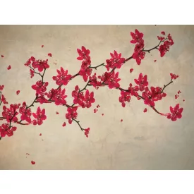 RIMURA / Main Collection