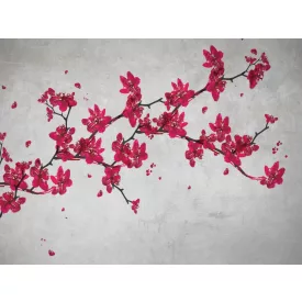 RIMURA / Main Collection