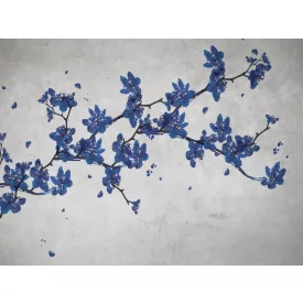 RIMURA / Main Collection