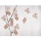 RIMURA / Main Collection
