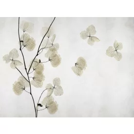 RIMURA / Main Collection