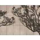 RIMURA / Main Collection