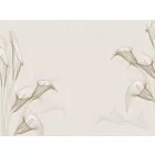 RIMURA / Main Collection