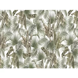 RIMURA / Main Collection