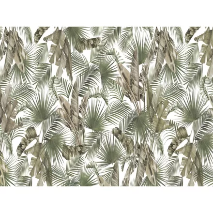 RIMURA / Main Collection