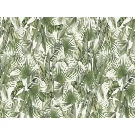 RIMURA / Main Collection