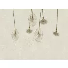 RIMURA / Main Collection