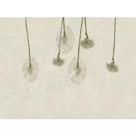 RIMURA / Main Collection