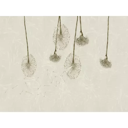 RIMURA / Main Collection