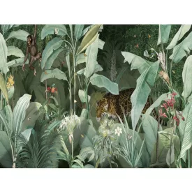 RIMURA / Main Collection