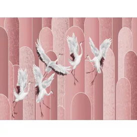 RIMURA / Main Collection