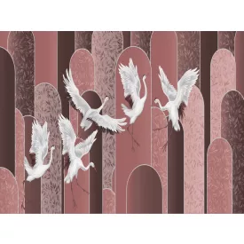 RIMURA / Main Collection