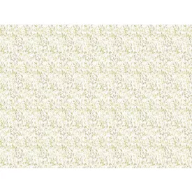 RIMURA / Main Collection