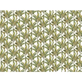 RIMURA / Main Collection