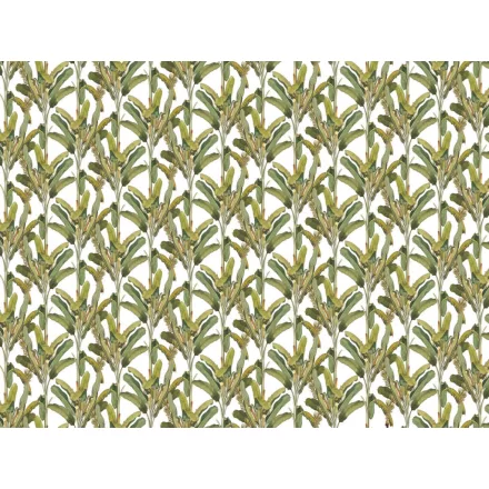 RIMURA / Main Collection