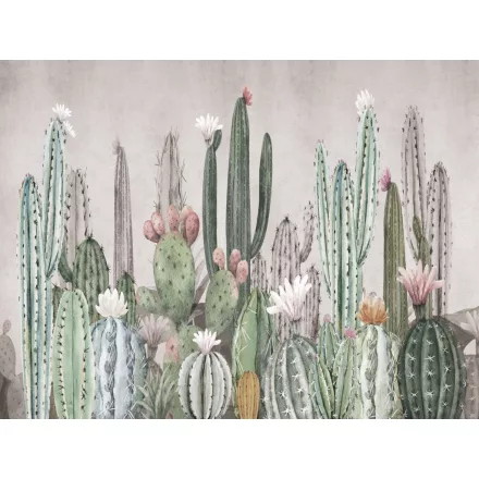 RIMURA / Main Collection