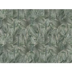 RIMURA / Main Collection