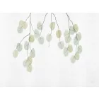 RIMURA / Main Collection