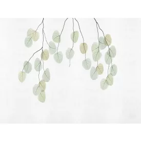 RIMURA / Main Collection