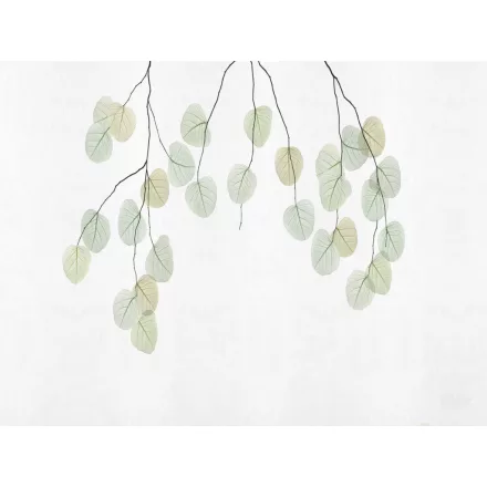 RIMURA / Main Collection