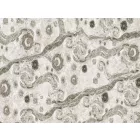 RIMURA / Main Collection